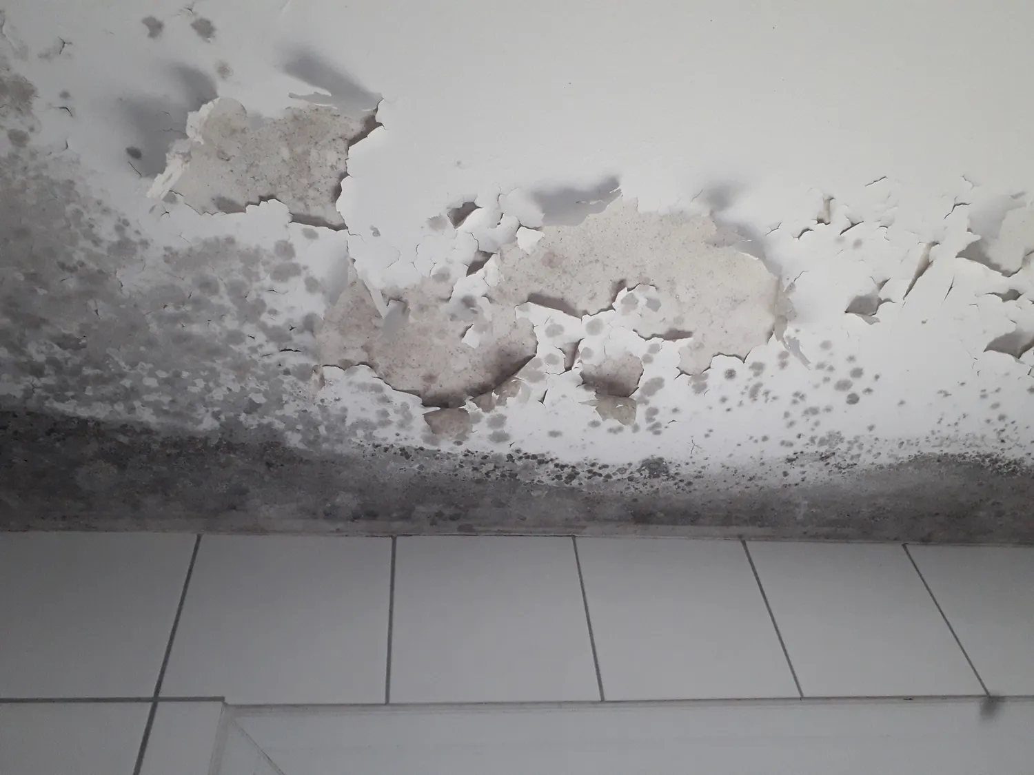 entretien vmc saint gregoire