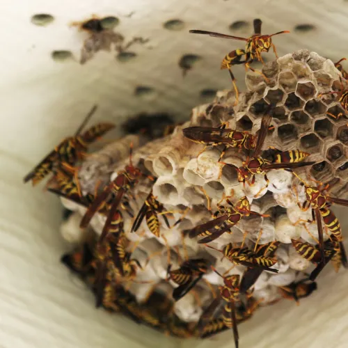 installation vmc pace